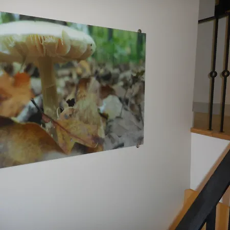 Keten Taksim Aparthotel